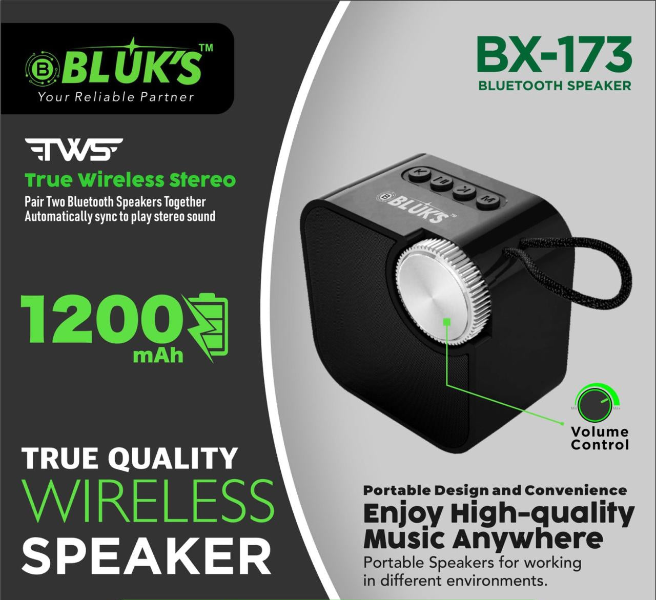 BX-173 (1 YEAR WARRANTY)