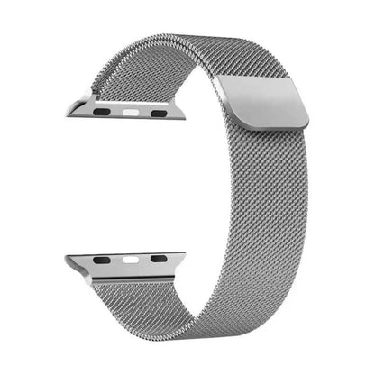 APPLE MAGNET CHAIN