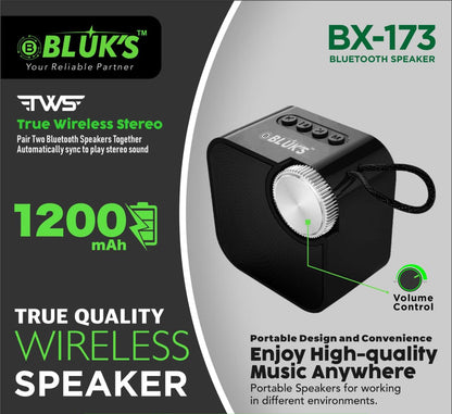 BX-173  (1 YEAR WARRANTY)