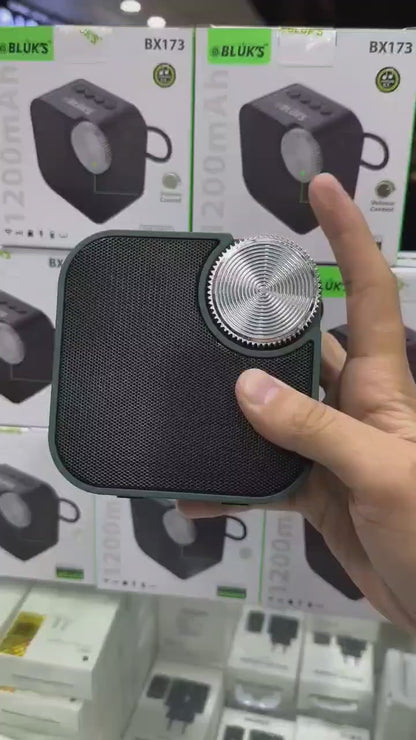 BX-173  (1 YEAR WARRANTY)